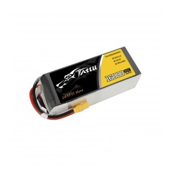 Batteria Lipo 16000 mAh