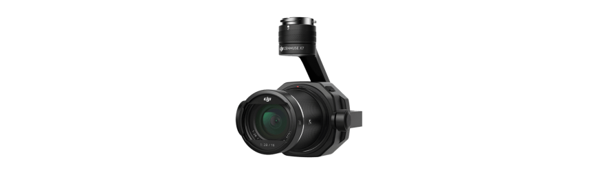 Gimbal DJI per drone - Rivendita ufficiale DJI