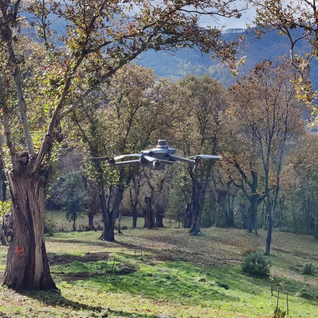Aerialclick al Centro dell’Innovazione Agricola: Valorizzare il Territorio con i Droni — immagine 2