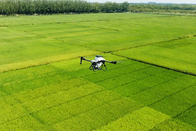 Come i droni stanno trasformando le operazioni in ambito agricolo — immagine 1