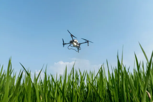 Blog agri30